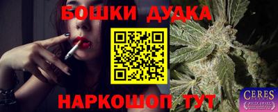 PSILOCYBIN Гусев