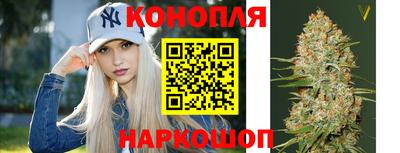 a pvp Гусь-Хрустальный