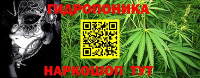 a pvp Гусь-Хрустальный